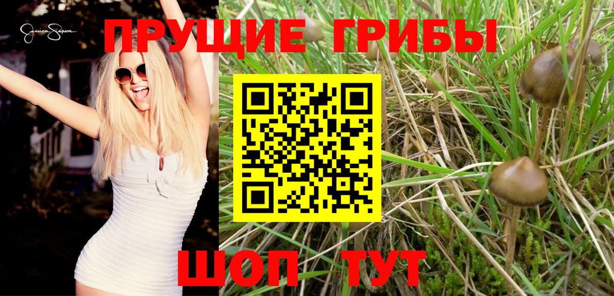 Галлюциногенные грибы ЛСД Мариинск