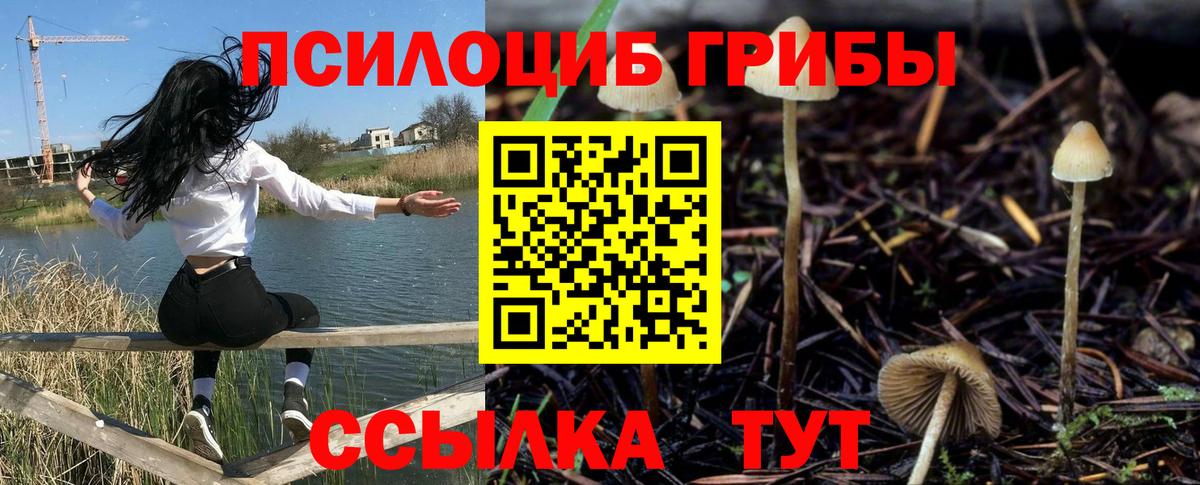 Псилоцибиновые грибы MAGIC MUSHROOMS  Вход с VPN  Мариинск  Галлюциногенные грибы прущие грибы 